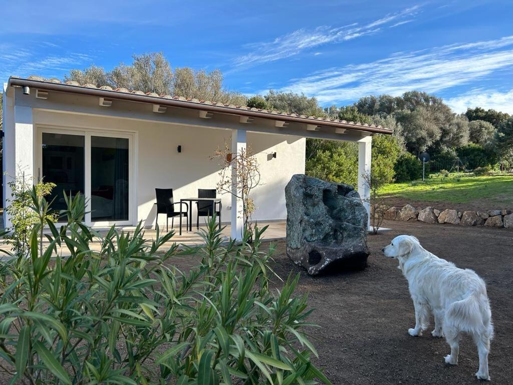 La Piana Holiday House Bassacutena Kültér fotó